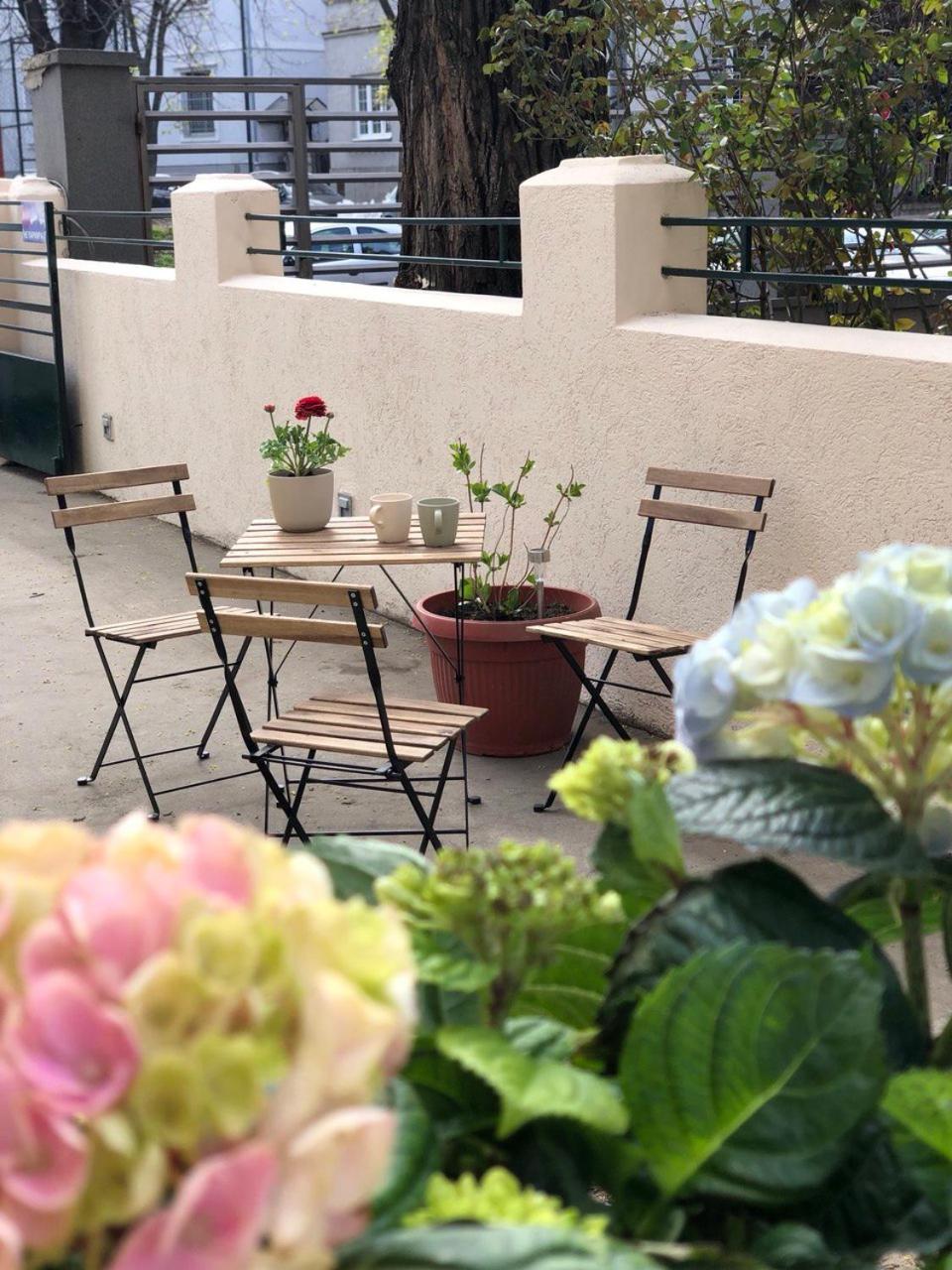 Cabbage Hostel เบลเกรด ภายนอก รูปภาพ